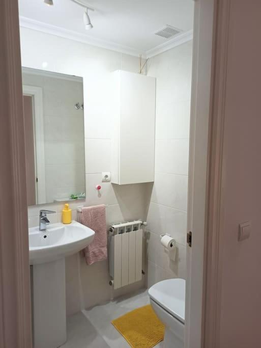 Bajo Con Jardin Privado Apartment ซานตานเดร์ ภายนอก รูปภาพ