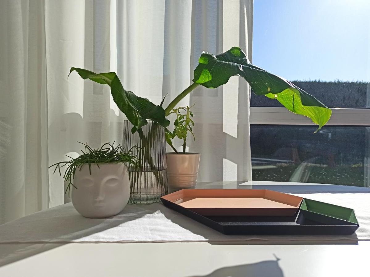 Bajo Con Jardin Privado Apartment ซานตานเดร์ ภายนอก รูปภาพ