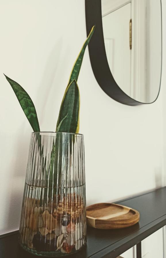 Bajo Con Jardin Privado Apartment ซานตานเดร์ ภายนอก รูปภาพ